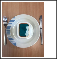 Photographs show meals from the PEACE menu as served, and also the prepacked items that are used, to make the food familiar, and reassure that it will be consistent.