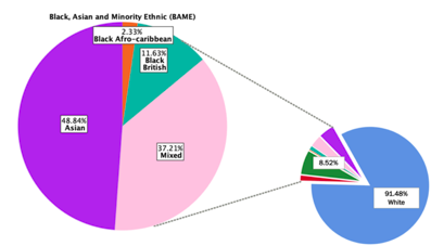 Figure 1. Percentage of inpatients who are white and who are from BAME groups